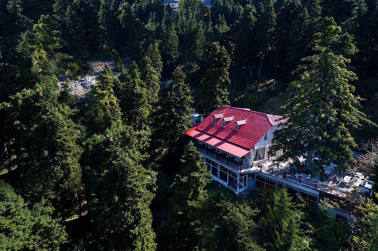 Koutsikouris Hotel Platanakos Eksteriør billede